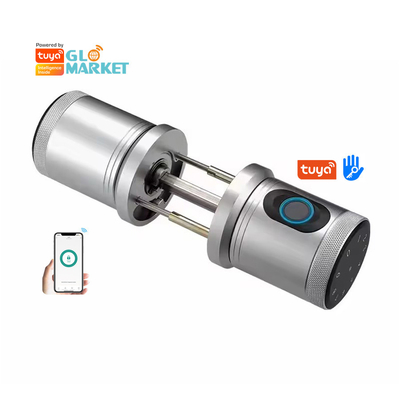 Glomarket New Style Tuya App Control Smart Lock Door Fingerprint Password Huis Hotel Appartement Elektronisch Smart Door Knob Lock