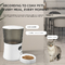 Glomarket Smart Tuya Pet Automatic Feeder Wifi 6L Dog Cat Food App Afstandsbediening met camera Pet Automatic Feeder