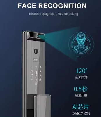 Glomarket Tuya Digitaal Smart Lock Volledig automatisch Biometrisch Systeem Beveiliging Vingerafdruk 3d Gezichtsherkenning Password Deur slot