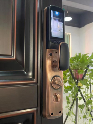 Glomarket Tuya Smart Door Lock 3d gezichtsherkenning Automatische slimme sloten met camera slimme biometrische beveiliging deur slot