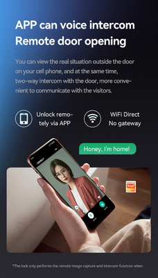 Glomarket Tuya Wifi Smart Lock Aluminium Houten Deur Gezichtsherkenning Palmprint Biometrische Vingerafdruk Digitaal Smart Lock