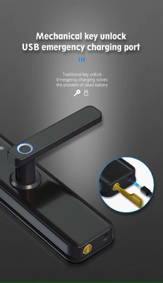 Glomarket Tuya Wifi Smart Door Lock Met Cat Eye Digitaal slot Elektronisch vingerafdruk Door Smart Home
