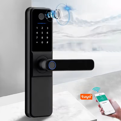 Glomarket Wifi Biometrisch Elektronisch Tuya App Afstandsgeschikt Smart Lock Smart Fingerprint Door Lock Met Cat Eye