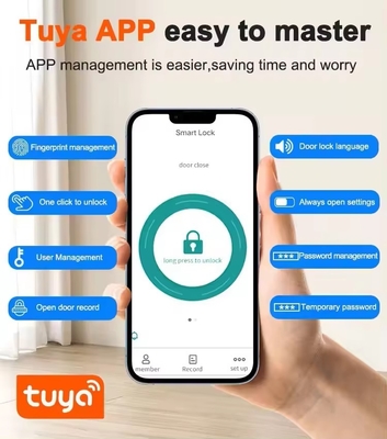Glomarket Tuya Smart Security Digitaal deur slot Biometrisch vingerafdruk handvat Smart Lock Hotel Appartement Kamer slot Factory Prijs