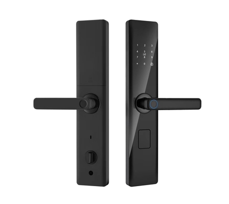 Glomarket Tuya Smart Security Digitaal deur slot Biometrisch vingerafdruk handvat Smart Lock Hotel Appartement Kamer slot Factory Prijs
