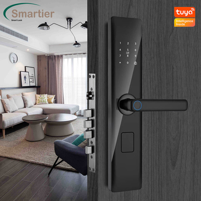 Glomarket Tuya Smart Security Digitaal deur slot Biometrisch vingerafdruk handvat Smart Lock Hotel Appartement Kamer slot Factory Prijs