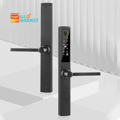 Glomarket Broken Bridge Smart Lock High-end Intelligentie Zink Alloy Tuya Wifi Vingerafdruk Waterdicht deur slot