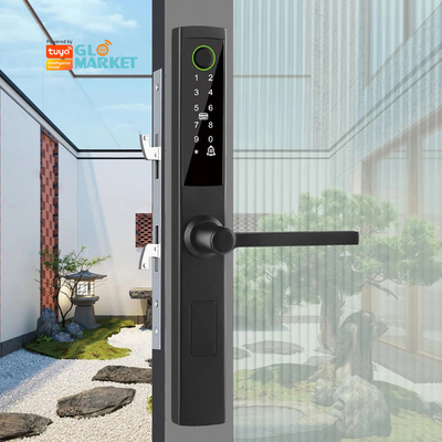 Glomarket Broken Bridge Smart Lock High-end Intelligentie Zink Alloy Tuya Wifi Vingerafdruk Waterdicht deur slot