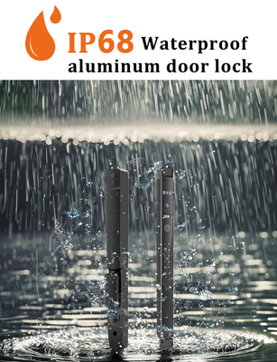 Glomarket Automatisch 3D Gezicht Smart Lock Met Camera Beveiliging Biometrische vingerafdruk Schuifdeur Tuya Smart Door Lock