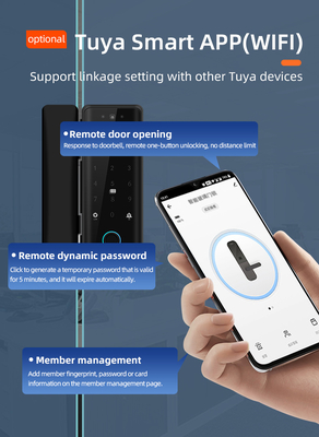 Glomarket Tuya Slimme 3d gezichtsherkenning Wifi glazen deur slot vingerafdruk kaart wachtwoord Elektronische glazen deur slot voor kantoor