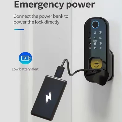 Glomarket Smart Home Waterdicht Smart Electric Rim Lock met Tuya APP Control WIFI Outdoor Gate Door Fingerprint Smart Lock