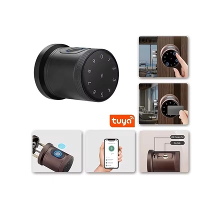 Glomarket New Style Tuya App Control Smart Lock Door Fingerprint Password Huis Hotel Appartement Elektronisch Smart Door Knob Lock
