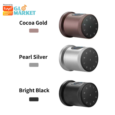 Glomarket New Style Tuya App Control Smart Lock Door Fingerprint Password Huis Hotel Appartement Elektronisch Smart Door Knob Lock