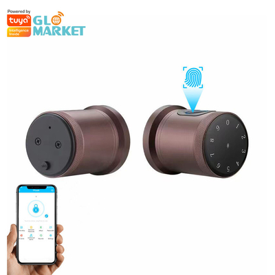 Glomarket New Style Tuya App Control Smart Lock Door Fingerprint Password Huis Hotel Appartement Elektronisch Smart Door Knob Lock