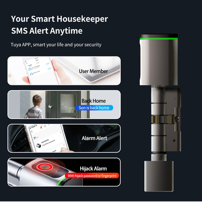 Glomarket Home Smart Door Lock Ttlock Smart Fingerprint Card Sleutel Ontsluitbaar Verstelbare Cylinder Euro Smart Lock Tuya App Door Lock