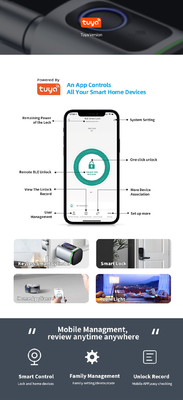 Glomarket Home Smart Door Lock Ttlock Smart Fingerprint Card Sleutel Ontsluitbaar Verstelbare Cylinder Euro Smart Lock Tuya App Door Lock