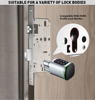 Glomarket Tuya Ttlock Smart Digital Keyless Door Lock Cylinder Combinatie Password &amp; Card Elektronisch slot Cylinders Smart Lock