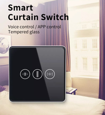 Slimme gordijnschakelaar WiFi/Zigbee Spraakbesturing Google Assistent Smart EU Standaard touchscreenschakelaar APP Garagedeurschakelaar