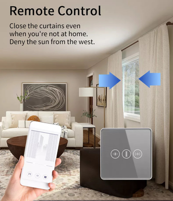 Slimme gordijnschakelaar WiFi/Zigbee Spraakbesturing Google Assistent Smart EU Standaard touchscreenschakelaar APP Garagedeurschakelaar